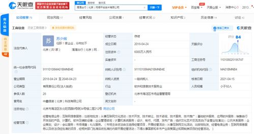 計算機軟件的技術開發(fā)與銷售 創(chuàng)新驅(qū)動與市場拓展的雙輪驅(qū)動